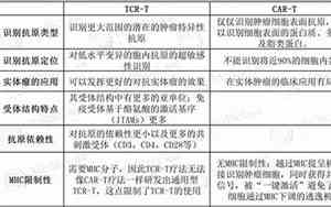 t与铁t的区别