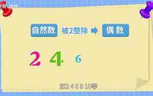 偶书是什么意思