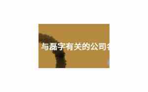 与文化有关的公司名字有哪些