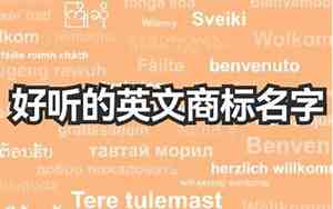 交流论坛好听的名字英文版