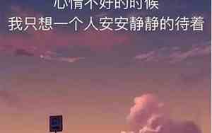 一个人的麻烦句子怎么写