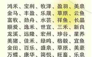 养殖公司名字免费起名大全