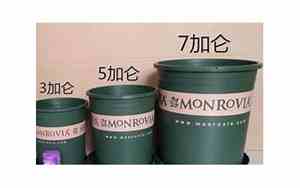 加仑和升换算关系