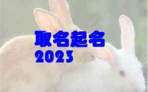 名字大全兔宝宝健康怎么取
