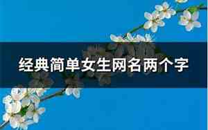 两个字的网名女高冷