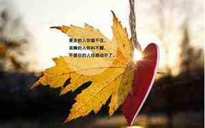 人生说说感悟生活句子简短