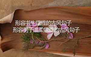 形容男生温柔儒雅的句子