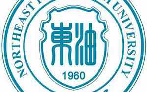 东北石油大学web