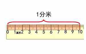 尺子5cm图片