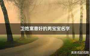 卫姓男宝宝名字两个字