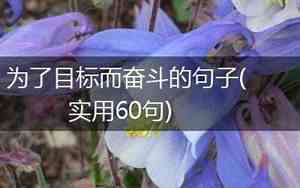 为了目标奋斗的文案