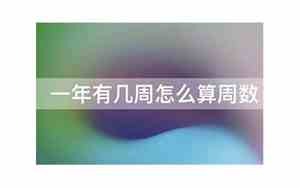 一年几周2024