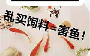 写为小金鱼鱼食的句子三年级
