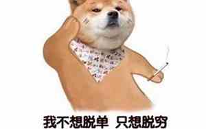 不想谈恋爱的霸气句子简短