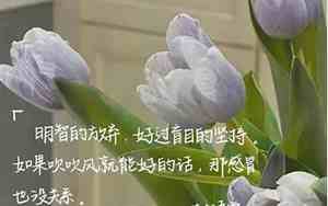 冬天发朋友圈的精美句子短句