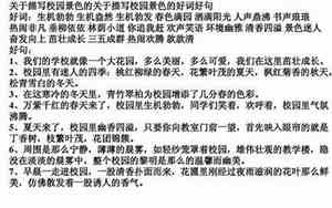 作文选的好句子摘抄大全