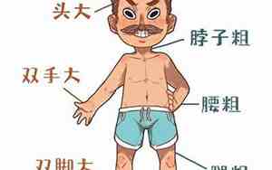 五大三粗指什么生肖动物