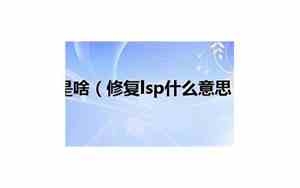 lsp是什么路由器