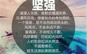 与玩有关的好词好句子有哪些