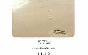 人生就像鸭子的句子说说