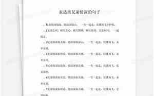 兄弟很假的说说