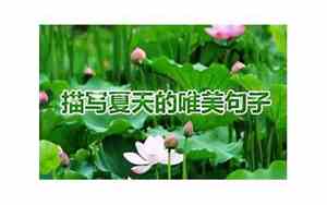 描写夏天的树的句子有哪些