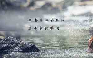 一切顺其自然的说说