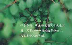 对生活自信的句子说说心情图片