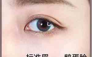 一字眉适合什么脸型图片