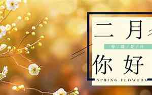 2月有没有29号怎么看