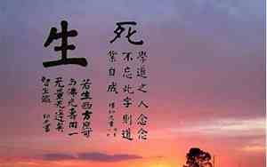 对生死的感悟句子图片