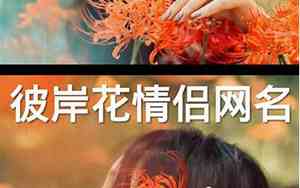 关于彼岸花的情侣网名大全