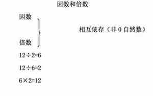 10的因数有多少个?