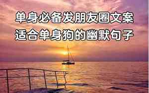 关于赞美单身的句子有哪些