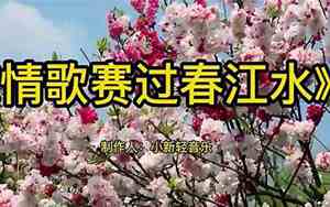 好听的山歌十二月情歌大全