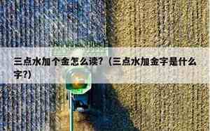 三点水一个金是啥字