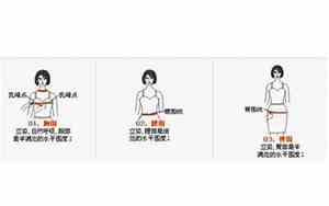 三围是什么指的哪三点