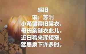 关于写母亲肖像的句子摘抄