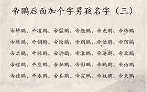 含有鹏好听的名字大全