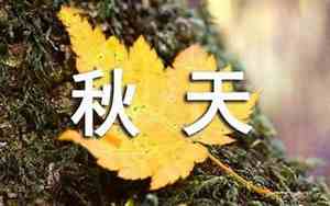 写秋季凉爽的句子简短