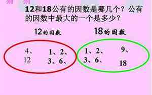 19的因数有几个