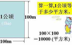 4.3710公顷等于多少亩