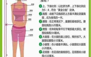 三围指的是哪三个部位
