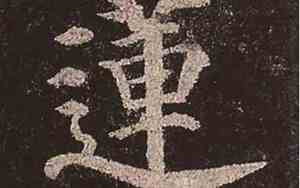 主字是什么结构和偏旁