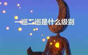 一巡二巡是什么级别的单位
