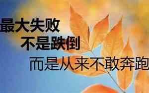 一个人坚持坚强的句子说说