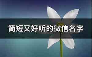 健康好听的微信名字女生