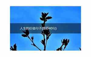 人生价值的句子语段怎么写