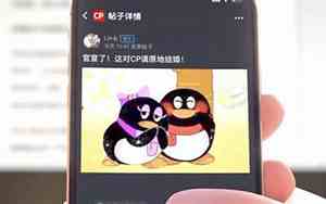 qq具体看谁特别关心了你手机版