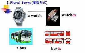 bus复数是什么单词